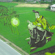 Illustration for article titled Behold These Incredible Artworks Grown from a Rice Field in Japan